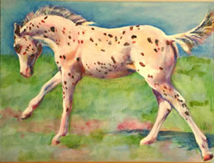 Appaloosa baby painting - An Incredible Design